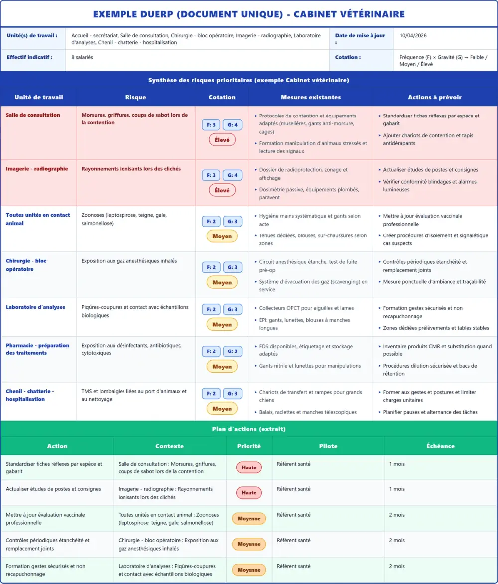 Exemple DUERP Cabinet vétérinaire 2026 rempli : tableau des risques et plan d'actions