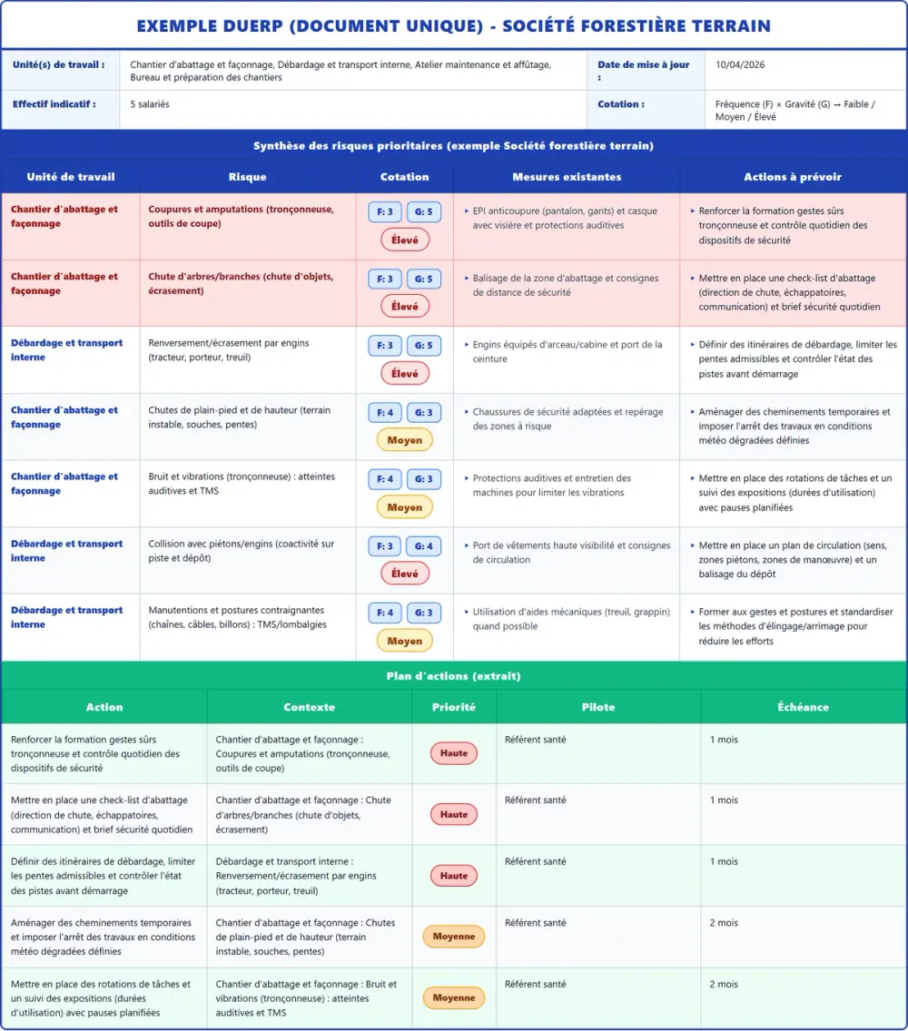 Exemple DUERP Société forestière terrain 2026 rempli : tableau des risques et plan d'actions
